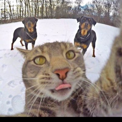 1Eppvqxf's profile picture. 