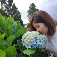 Dinh Tinh Tran (@dinhtinhtran1) 's Twitter Profile