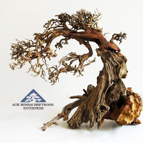 aciebonsaidw's profile picture. Producer & Supplier of bonsai driftwood, stump driftwood, art wood, decor bonsai driftwood for interior