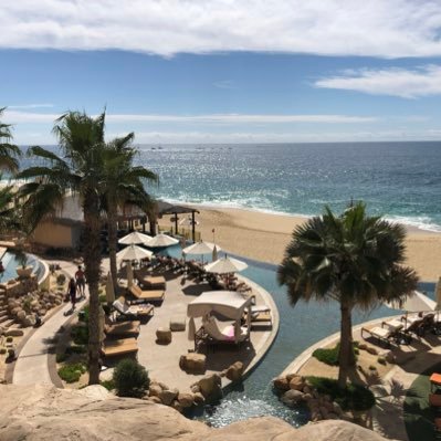 androo_ku's profile picture. Tweet Tweet