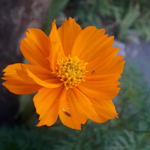 _in2it_'s profile picture. The only person who is educated is the one who has learned how to learn and change.
~ Carl Rogers