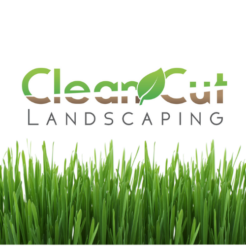 cleancutcharlotte@gmail.com #LawnCare #Charlotte #NC