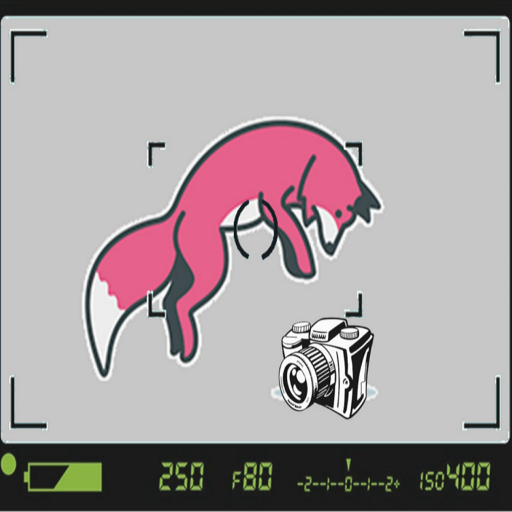 FFoxsphoto's profile picture. Amateur photographer/videographer. Harm reduction distributer, outreach volunteer, Street 'medic.' he/him