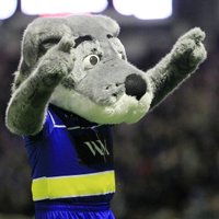 Wolfie (@wire_wolfie) 's Twitter Profile