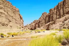 BugtiKi's profile picture. 