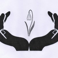 My Support Day (@mysupportday1) 's Twitter Profile