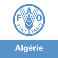 FAO Algérie(@FAOAlgerie) 's Twitter Profile Photo