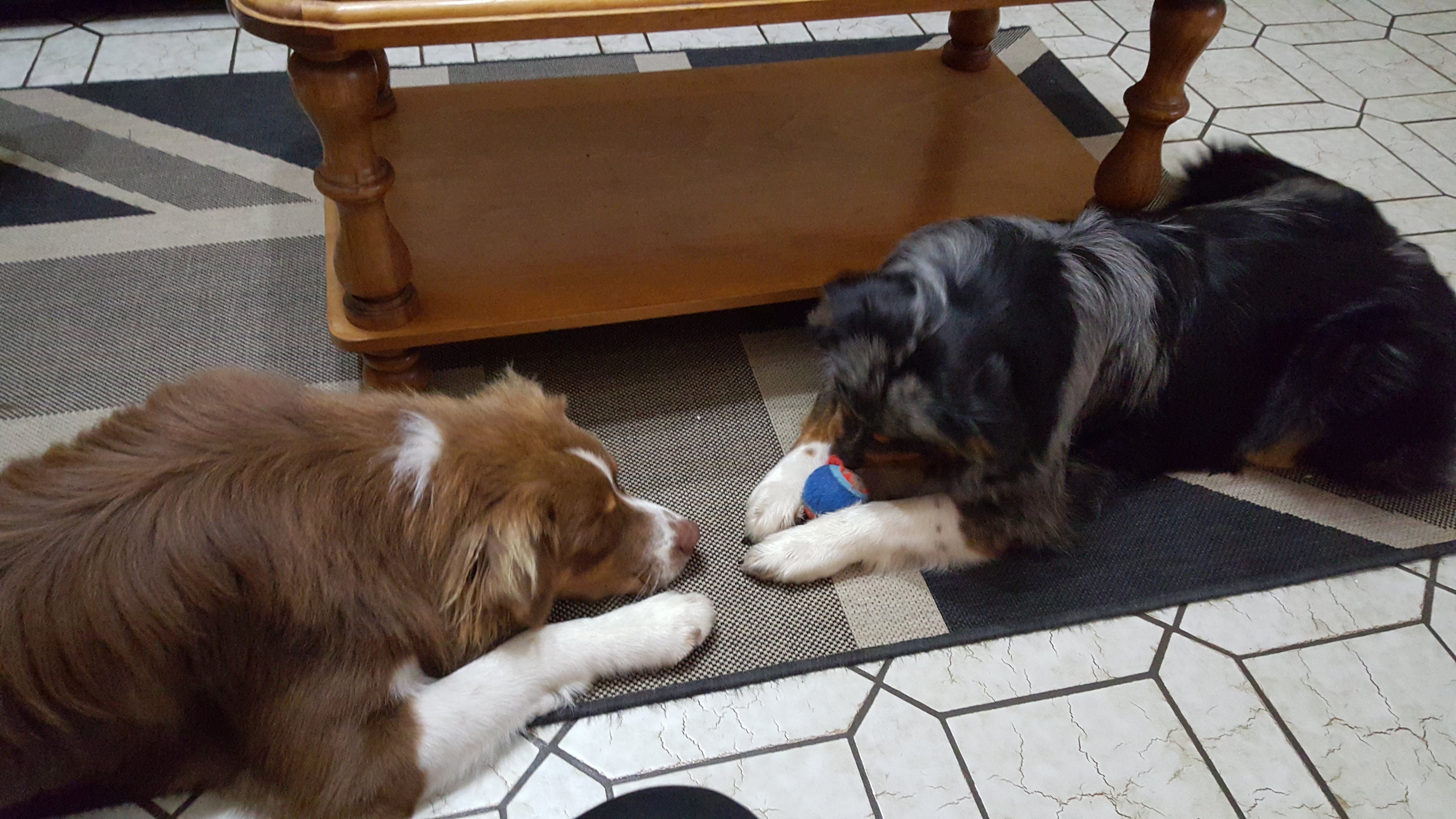 FrancoiseGuinet's profile picture. 