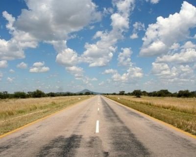 짱아엄마 Profile