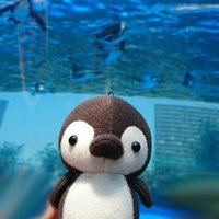 ユウヒ🐧 (@yuuu490tk) Twitter profile photo