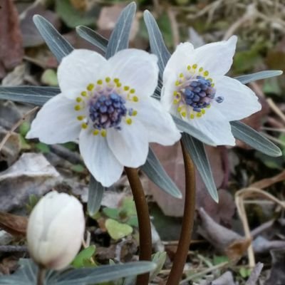 山登り、温泉大好きです。