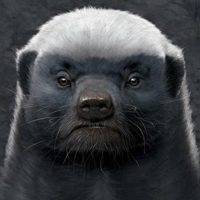 Alexindia6's profile picture. 科技專業人員與記者 科技專業人員與記者 NBA