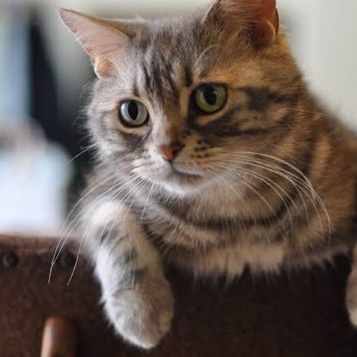 izk1C80p1dFUskb's profile picture. 渋谷住み 裏垢