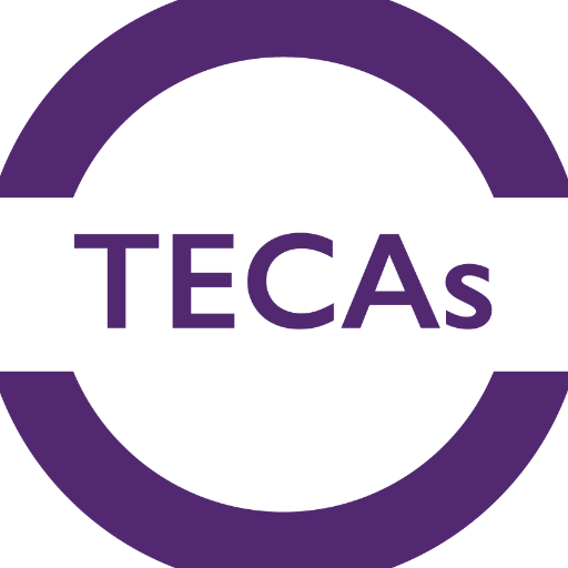 The Tackling Economic Crime Awards (TECAs)