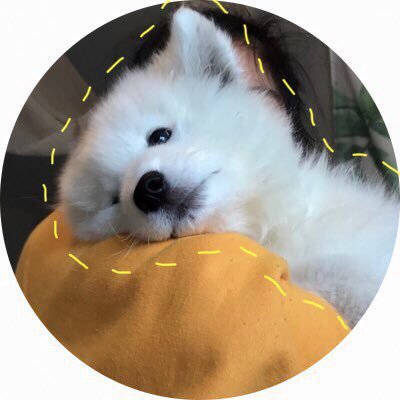 Pαmm.🌸 #จมิงさんのプロフィール画像