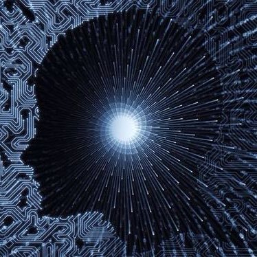 Selberny's profile picture. 