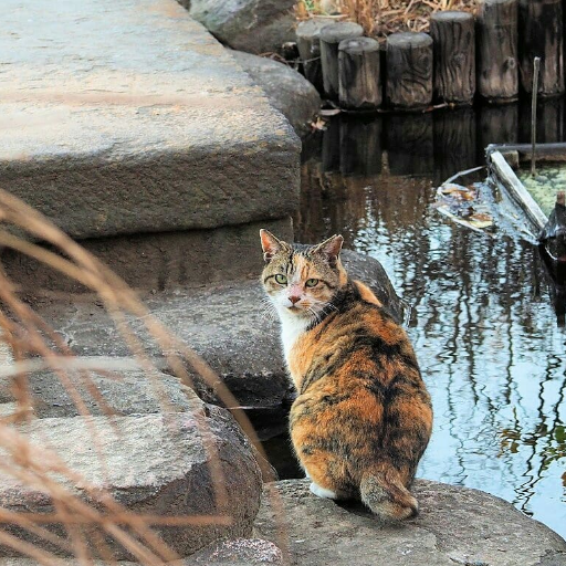 【 オーシャンポーのお写んぽ写真 】へようこそ。
ジャンル問わず気になったモノをかって気ままに撮ってます。