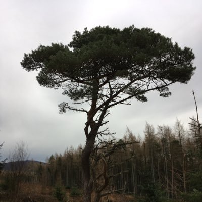 samsjam77's profile picture. Mother, Woman, Granny, Daughter, Sister, Auntie, Teacher, She, Her