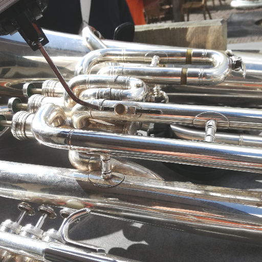 De_FurieToeters's profile picture. De FurieToeters brengen gezellige muziek voor o.a. feestjes, aubades, evenementen, dus multi inzetbaar.