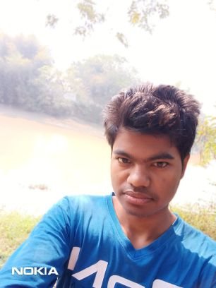 koushik_hait's profile picture. #Web Devloper #Python Dev