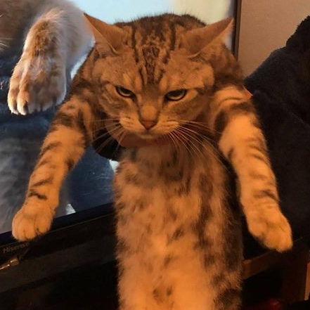 TextZ012's profile picture. 