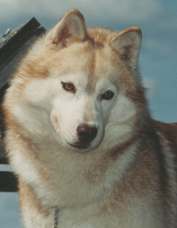 BeaBall10's profile picture. I Can Only Be Me