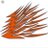 track_pine's profile image
