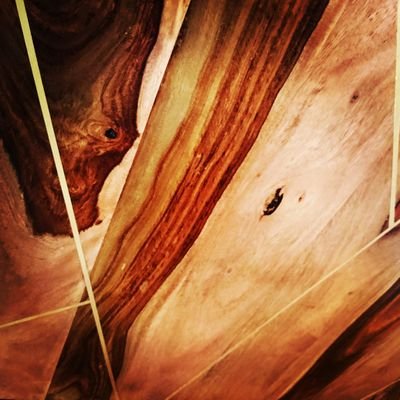 Imagine 'If trees could tell stories', seeing existing mature trees as dignified silent witnesses in our midst, Founded by Landscape Architect Christina Gestra