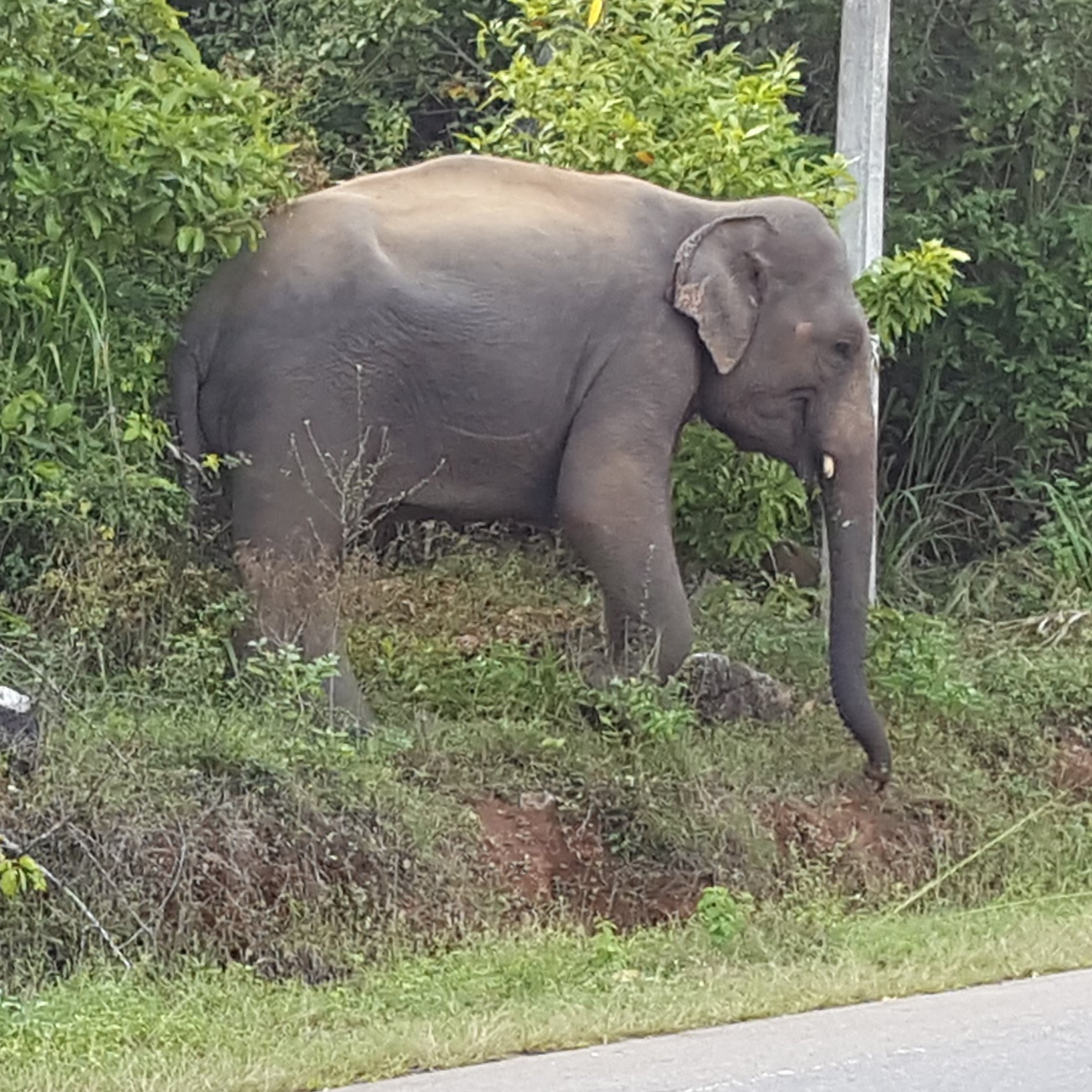 Federator22's profile picture. 