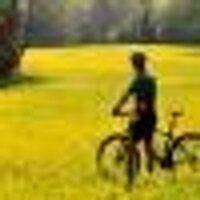 Brad Fleming (@bafleming) 's Twitter Profile