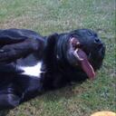 Nigel Carpenter - @Carps1 - Twitter