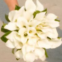Pixia Photography (@pixiaphoto) 's Twitter Profile