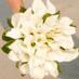 Pixia Photography (@pixiaphoto) Twitter profile photo Pixia Photography (@pixiaphoto) Twitter profile photo