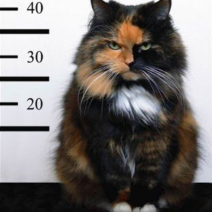 magicmrb's profile picture. expressing confusion on daily basis @eddrawss insta