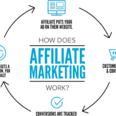 The Affiliate Marketer