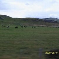 myungja lee (@lmja17) 's Twitter Profile