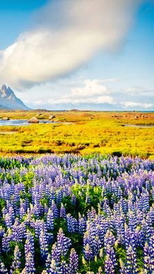 AnRUN85rzNdDVcs's profile picture. معلم