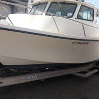 Morewine (@morewine4) 's Twitter Profile