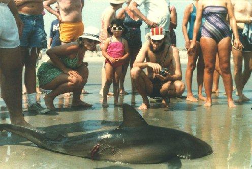 lipsbywong's profile picture. 