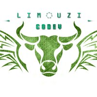 Limouzi CoDev (@limouzicodev) 's Twitter Profile