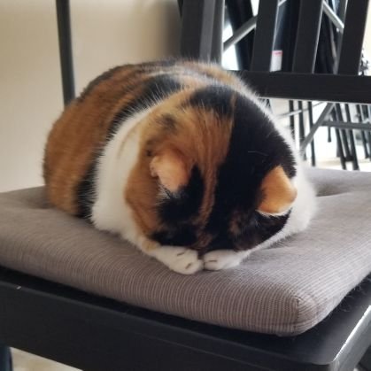 GamerchikKaty's profile picture. Gamer, JIRA Guru, Rock Climber, Amateur Writer, Hockey Fan & All Around Geek