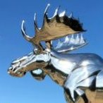 Fritt Vilt (@mikkemoose) 's Twitter Profile