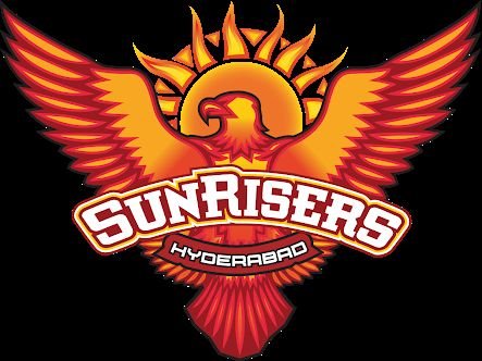 welcome to account of #SunrisershyderabadTN champions of #ipl2016🏆