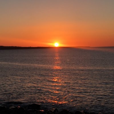 deeobrien24's profile picture. 