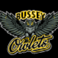 Bussey Cheerleading(@BusseyCheer) 's Twitter Profile Photo