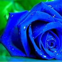 عـالـيـــة 🇸🇦 (@3alih__2030) 's Twitter Profile