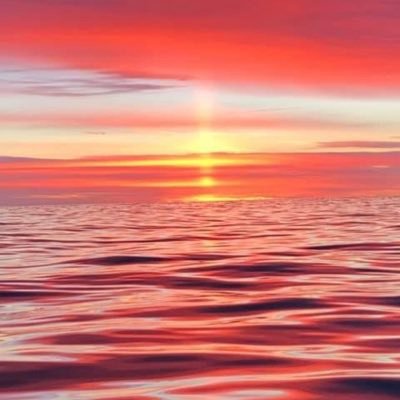 mackinw's profile picture. 