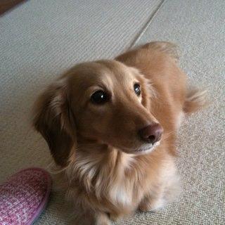 one_wanlove's profile picture. 