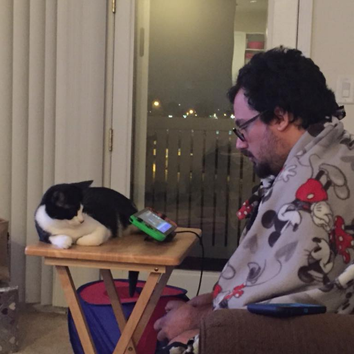 Netincome44's profile picture. 