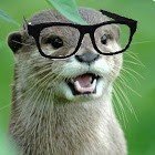otter_nerd31's profile picture. Arts & Culture Art Photography Games Fun Humor Memes